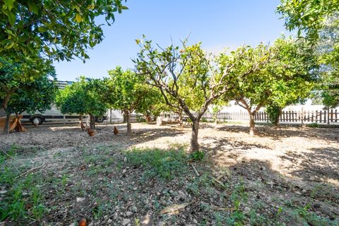 Villa a La Marina, Alicante, La Marina - € 625.000 | Ref: W5689OM - foto 48